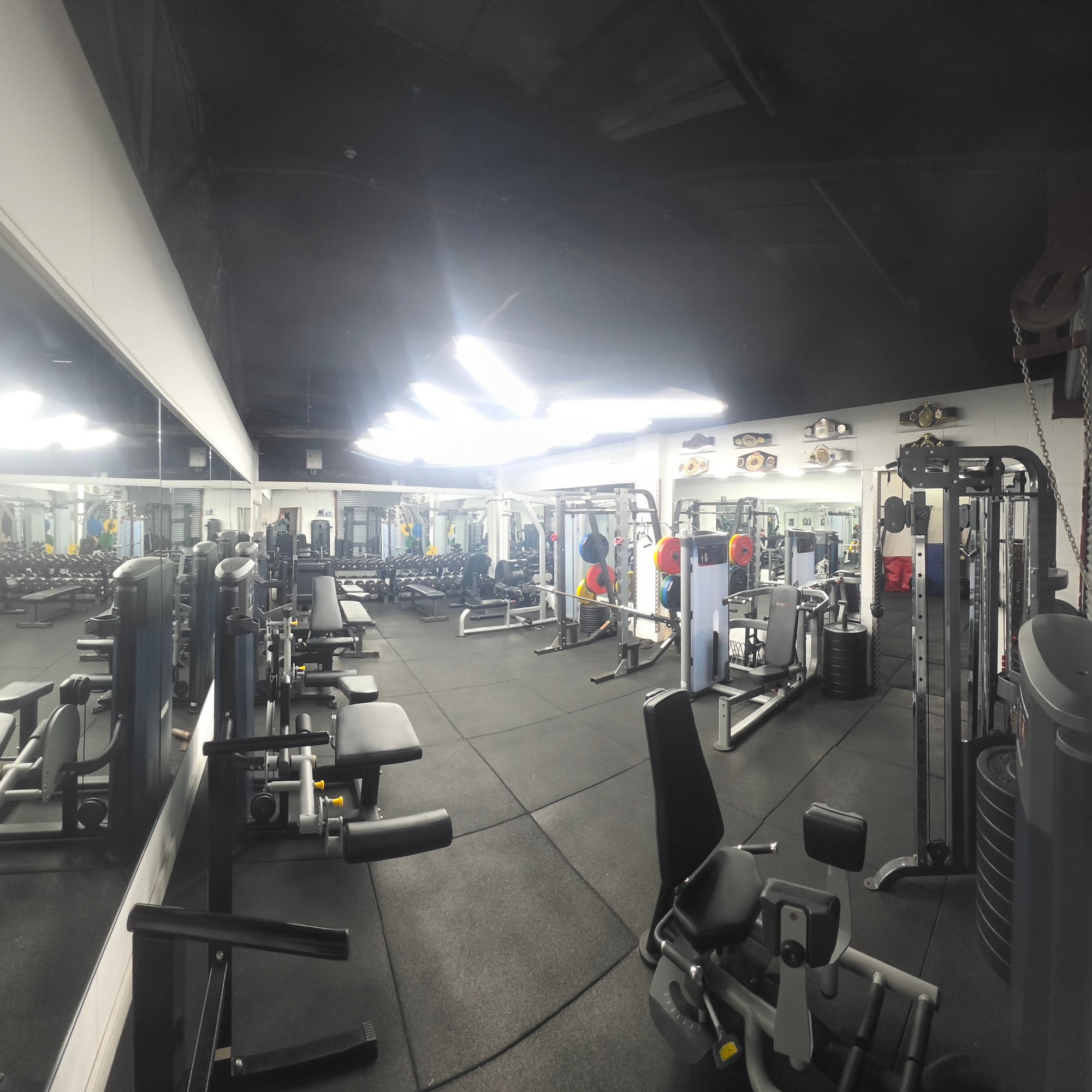 Gym equipment